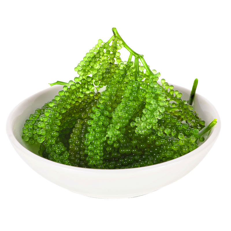 Sea Grapes Lato